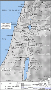 CNM37 Palestine 171x300 