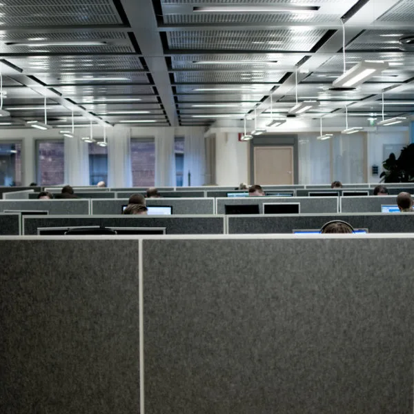 The Meaning of Work