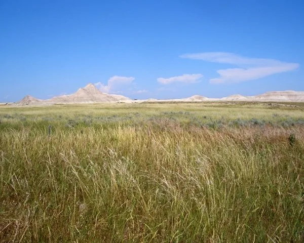 March, Osage County – What Ukraine Reveals About our Dysfunctional Family of Liberal Democracies