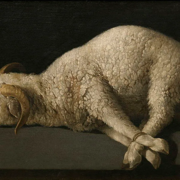 The Politics of the Lamb of God—John 1:29-42 (Amy Allen)