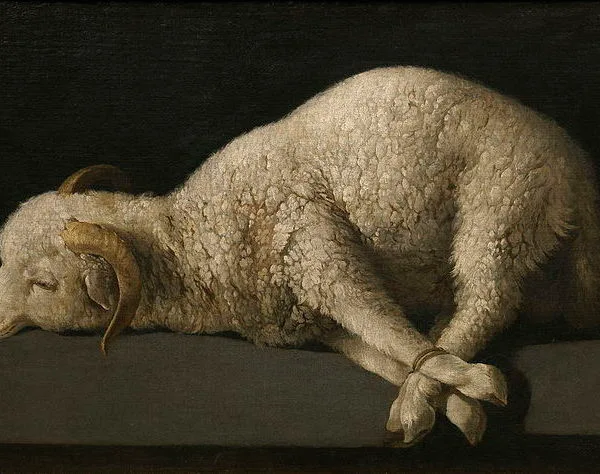 The Politics of a Slain Lamb—Revelation 7:9-17 (Amy Allen)