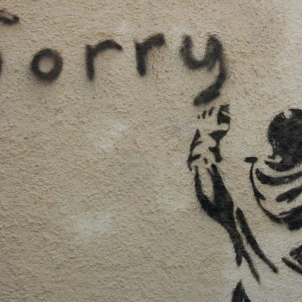 Too Soon for Apologies?