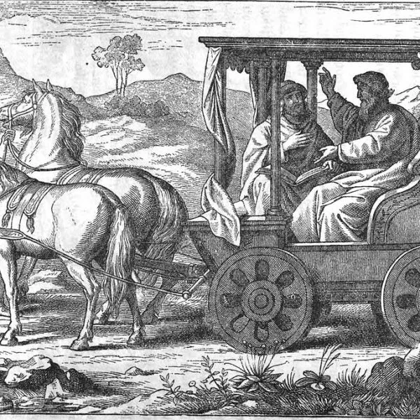 A Dry Tree Made Fruitful—Acts 8:26-40; 1 John 4:7-21