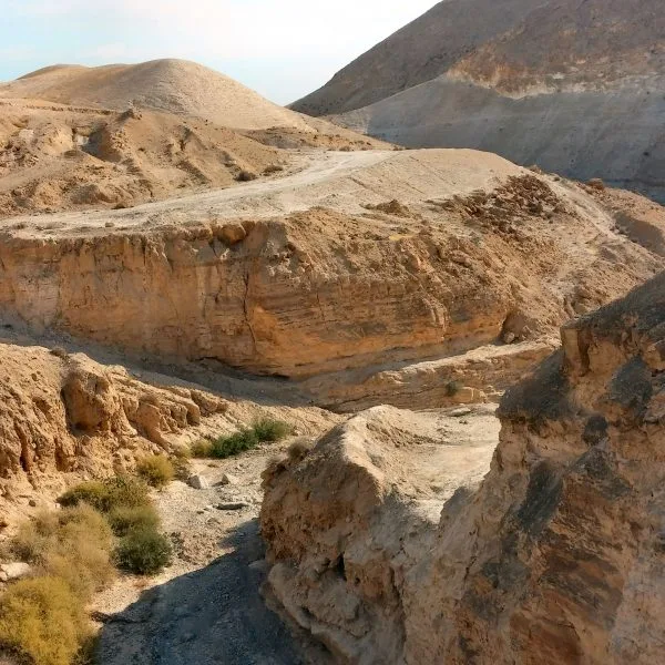 “Get Up and Eat”: The Political Act of Feeding—1 Kings 19:1–15a