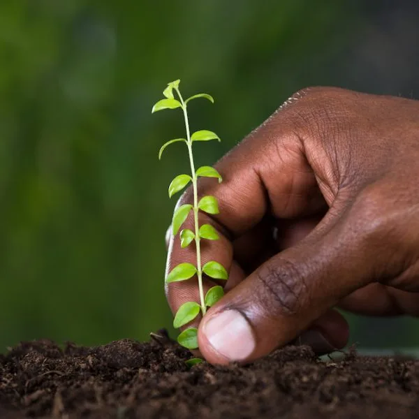 The Politics of a Giving People—Jeremiah 31:27–34