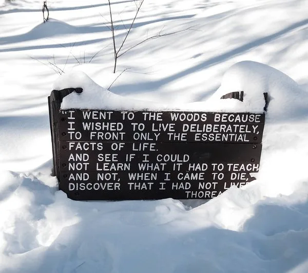 Laws, Attention, and the Question of Violence: A Roundtable on Thoreau