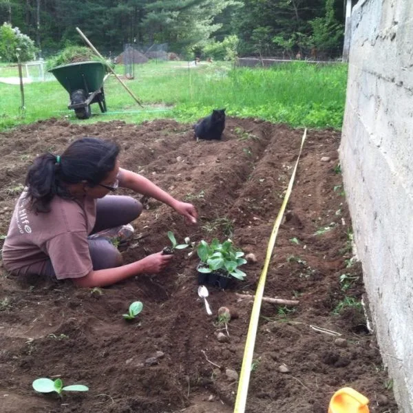 Healing the Land, Land Healing the Self