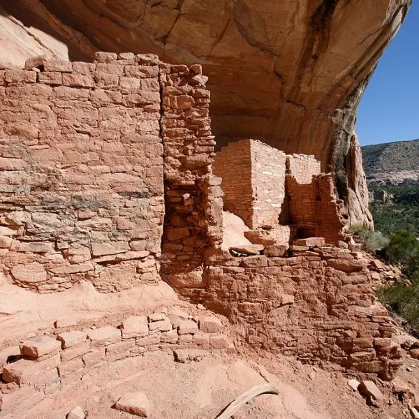 The Coloniality of Wilderness