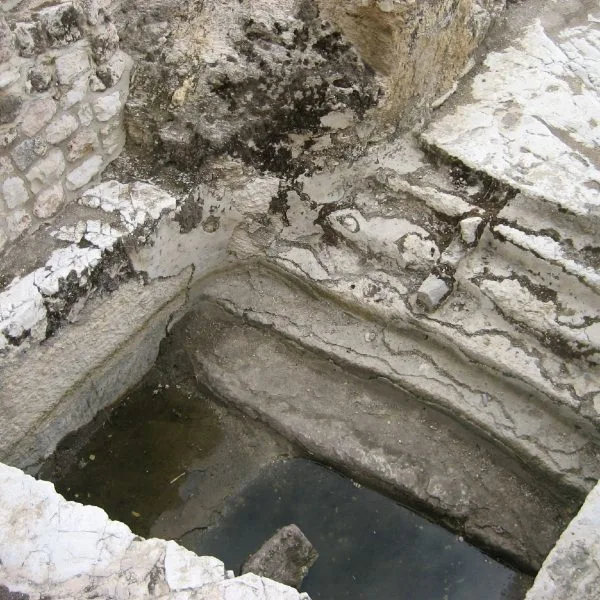 Immersions in a Contagious Summer