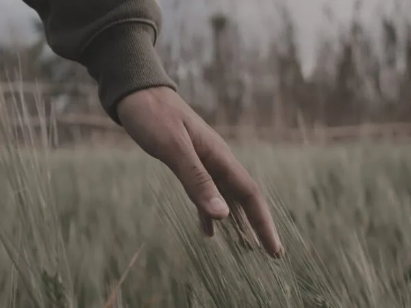 The Politics of Touch