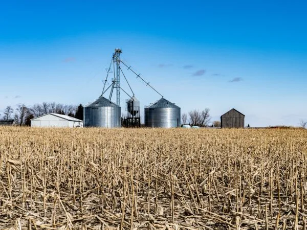 Living into the Beloved Community