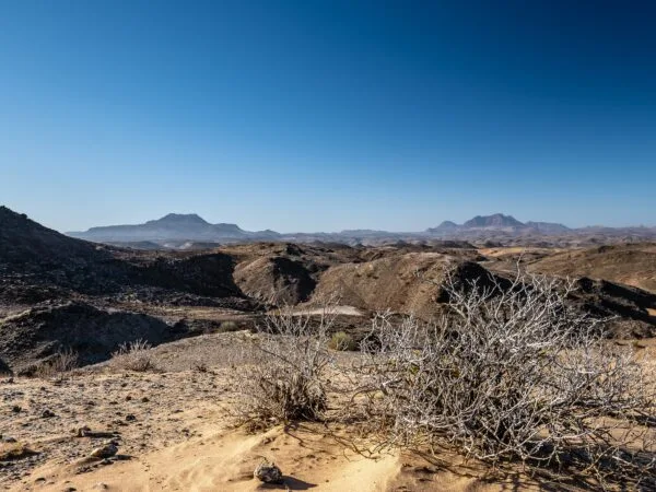 The Politics of Description