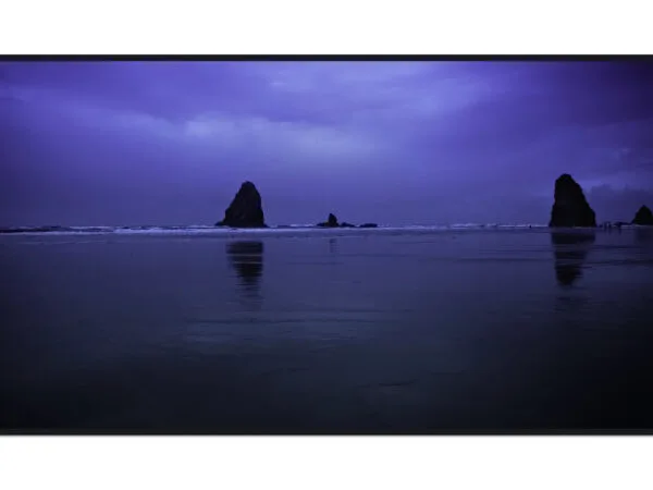 Political Theologians: Lauren Olamina and Ramakrishna Paramahansa