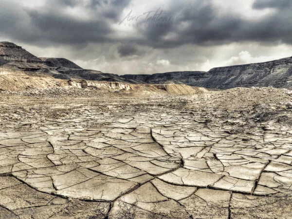 Ecowomanist Parables: Ecowomanist Ethics and Praxis in Octavia Butler’s Parable of the Sower