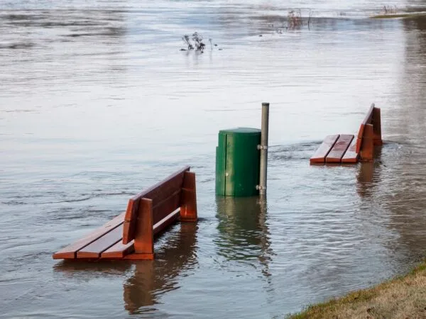 Surviving through the Storms of Life