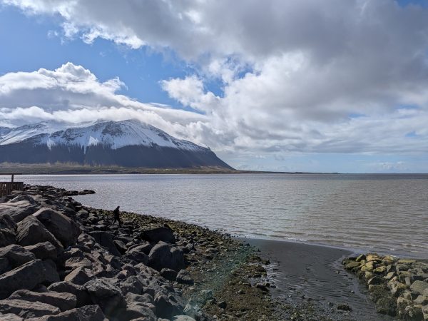 From Iceland to the Land of ICE