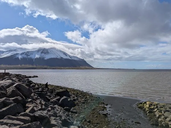 From Iceland to the Land of ICE