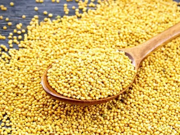 Imaginative Compassion: When Mustard Seeds Miss the Mark
