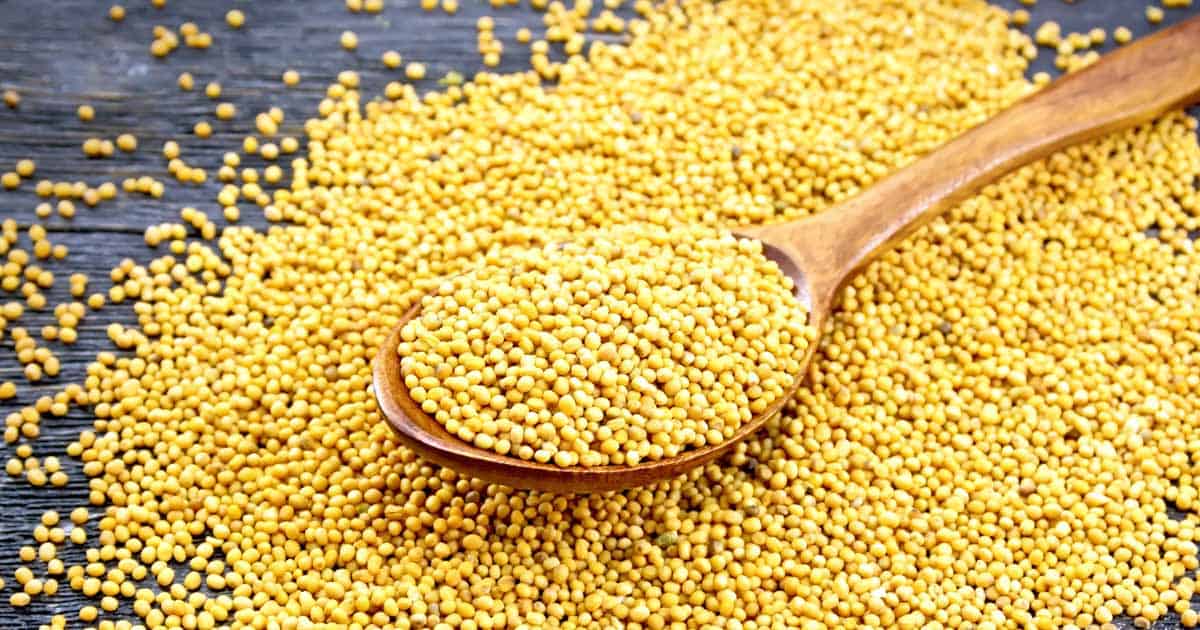 Imaginative Compassion: When Mustard Seeds Miss the Mark 