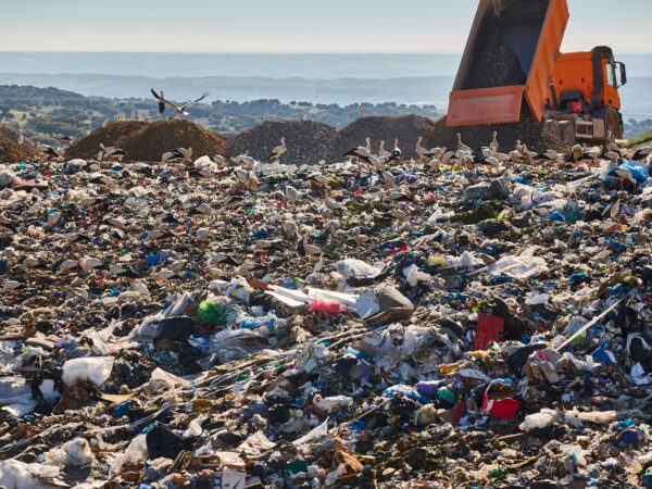 Toward a New Historical-Ecological Praxis of Degrowth