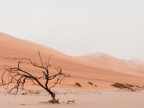 Messianism of Disappointment: Daniel Bensaïd and Jewish Left