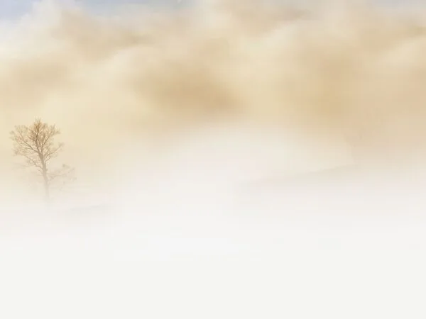 The Hidden Kingdom