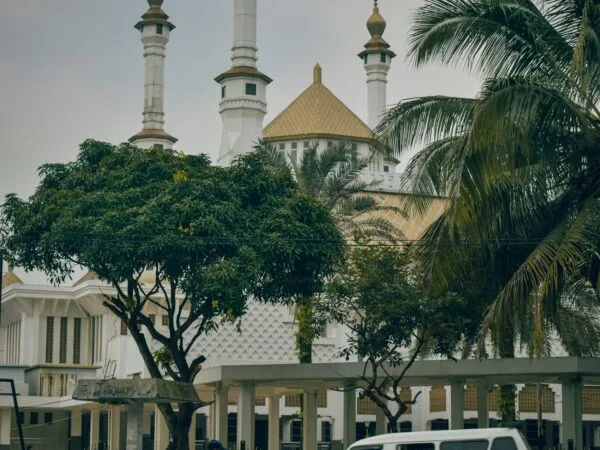 Mobilizing Mainstream Islam: The Politics of Orthodoxy in Indonesia in Comparative Perspective
